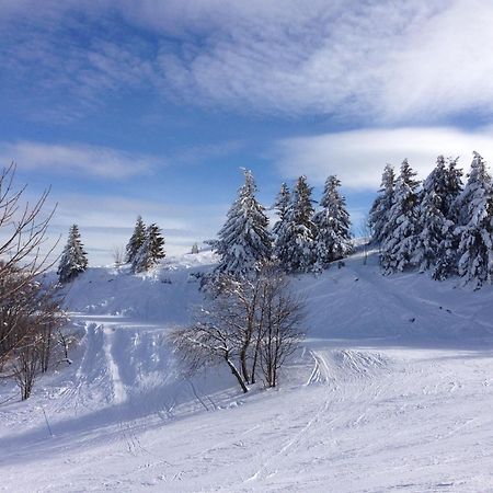 Le Saint Barnabe & Spa - Near Guebwiller Buhl Esterno foto