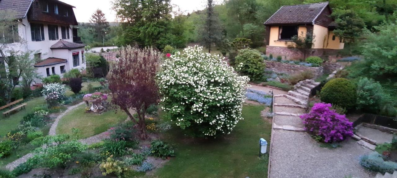 Le Saint Barnabe & Spa - Near Guebwiller Buhl Esterno foto