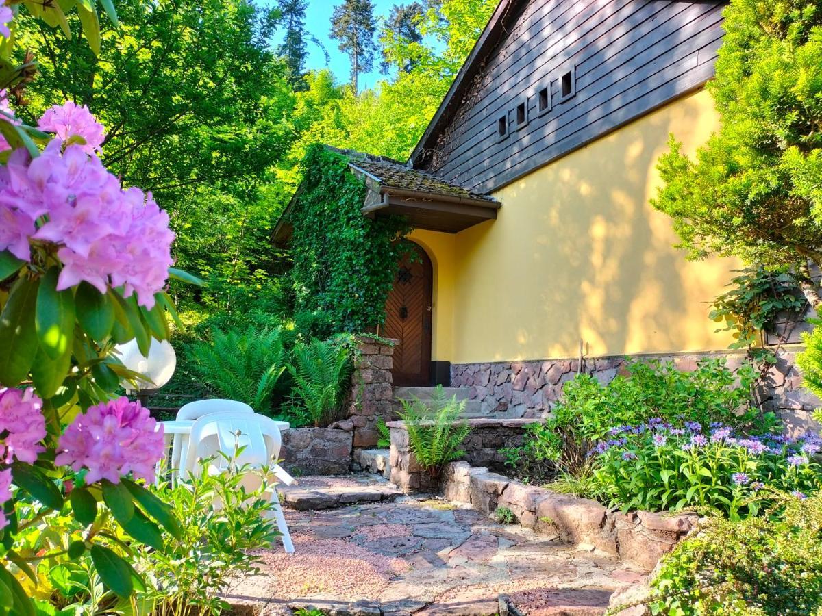 Le Saint Barnabe & Spa - Near Guebwiller Buhl Esterno foto