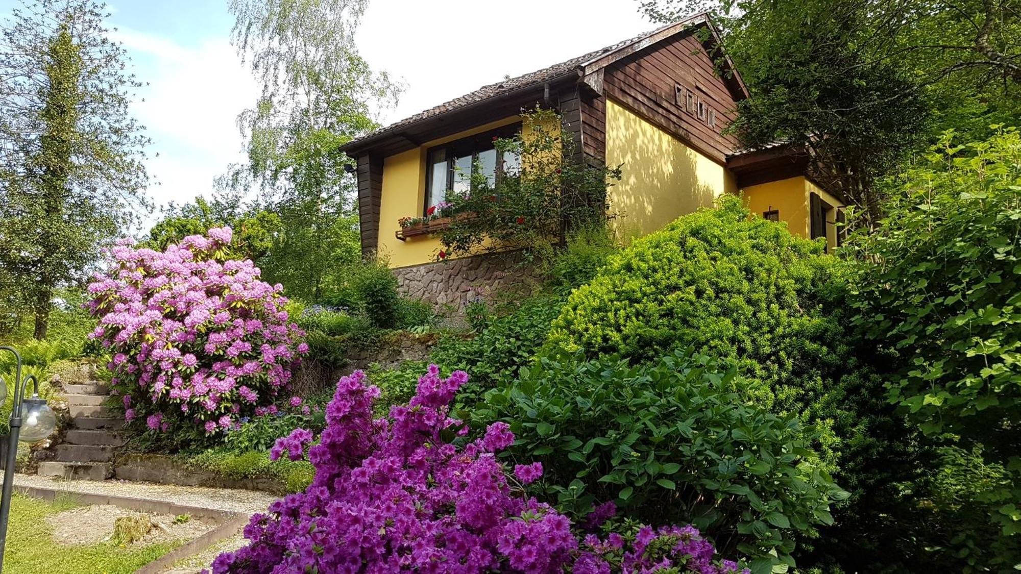 Le Saint Barnabe & Spa - Near Guebwiller Buhl Esterno foto