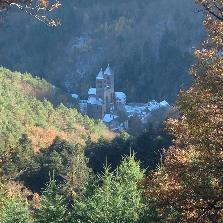 Le Saint Barnabe & Spa - Near Guebwiller Buhl Esterno foto